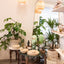 Visit Our Showrooms in Zurich or Marrakech